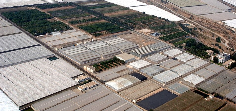  JORNADA DE PUERTAS ABIERTAS - Cajamar Innova-Estación Experimental
